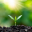Organic Life Tools Icon