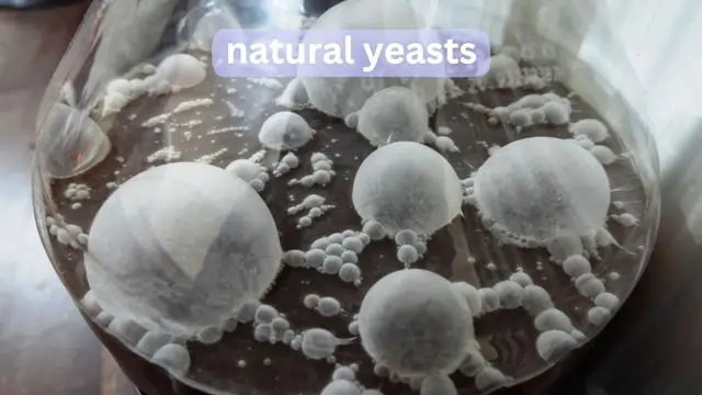 natural yeasts