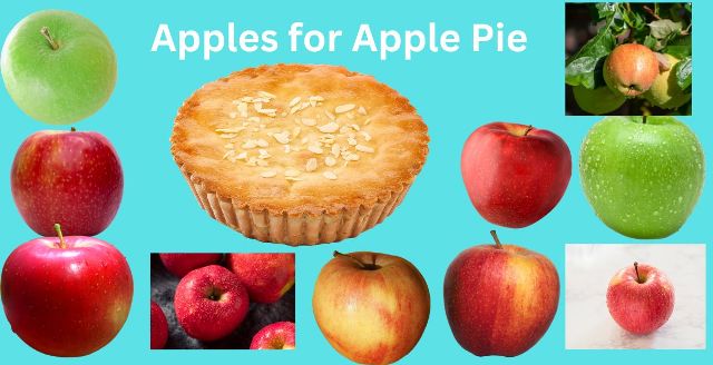 Best Apples for Apple Pie