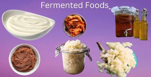What Are Fermented Foods Good For