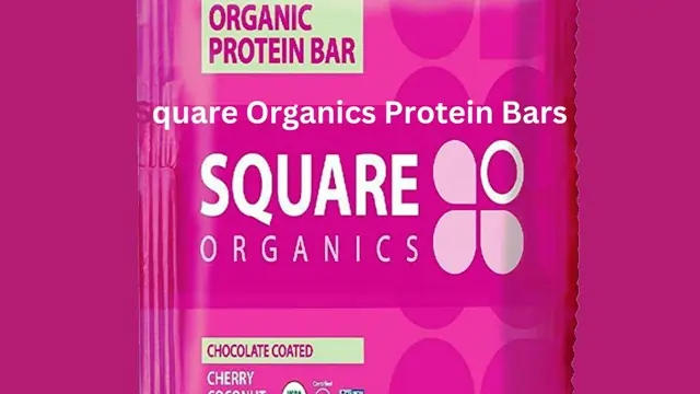 Square Organics Protein Bars