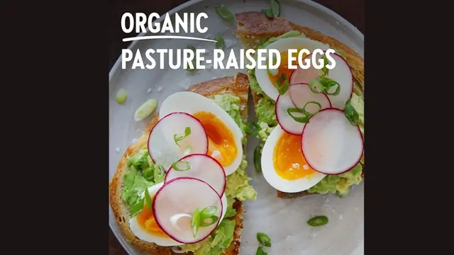 Vital Farms Organic Eggs 