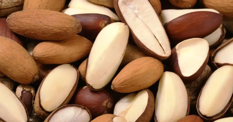 What Are The Health Benefits Of Brazil Nuts