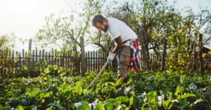 What Are Health Benefits Of Organic Farming