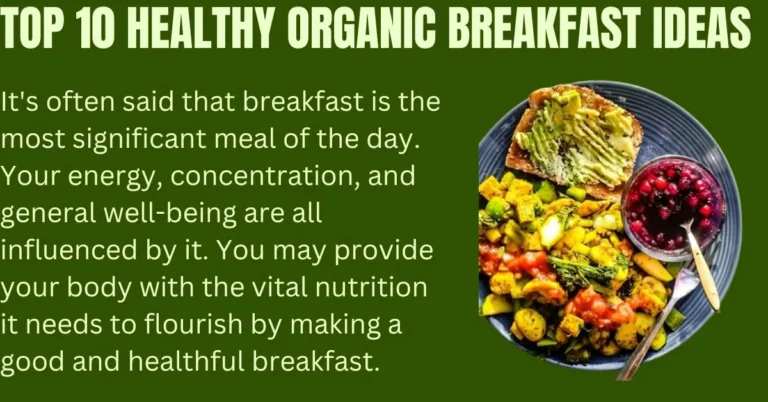 Top 10 Healthy Organic Breakfast Ideas