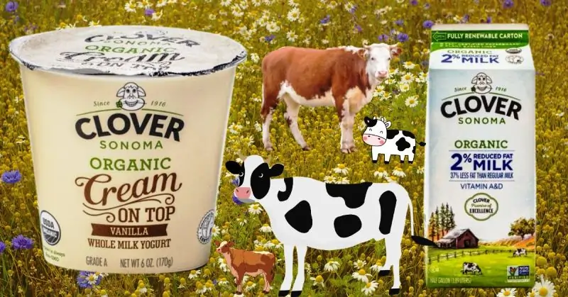 Clover Sonoma Organic Whole Milk