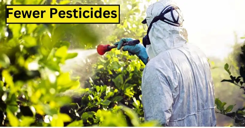 Pesticides and Chemicals