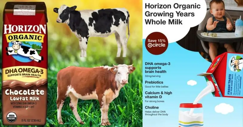 Horizon Organic Whole Milk with DHA Omega-3