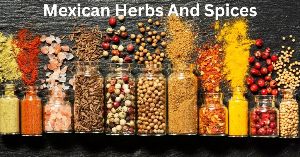 Traditional Mexican Herbs And Spices